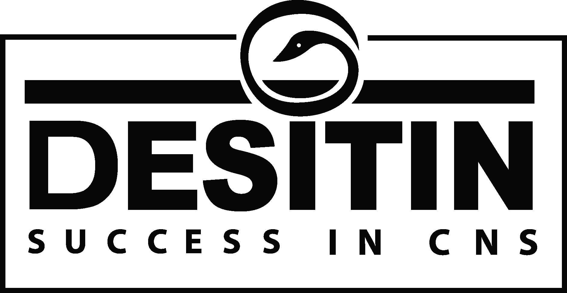 DESITIN SUCCESS IN CNS Logo Vector Logo